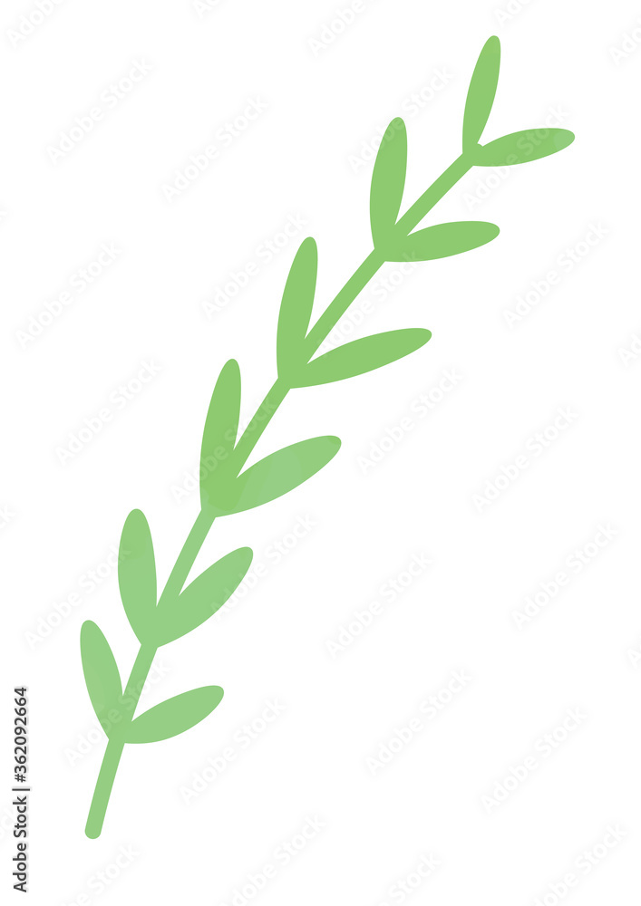 ローズマリーのイラスト Stock Vector Adobe Stock