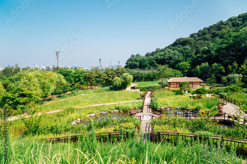 Fototapeta Naklejka Na Ścianę i Meble -  Wolmi Park Traditional Garden at summer in Incheon, Korea