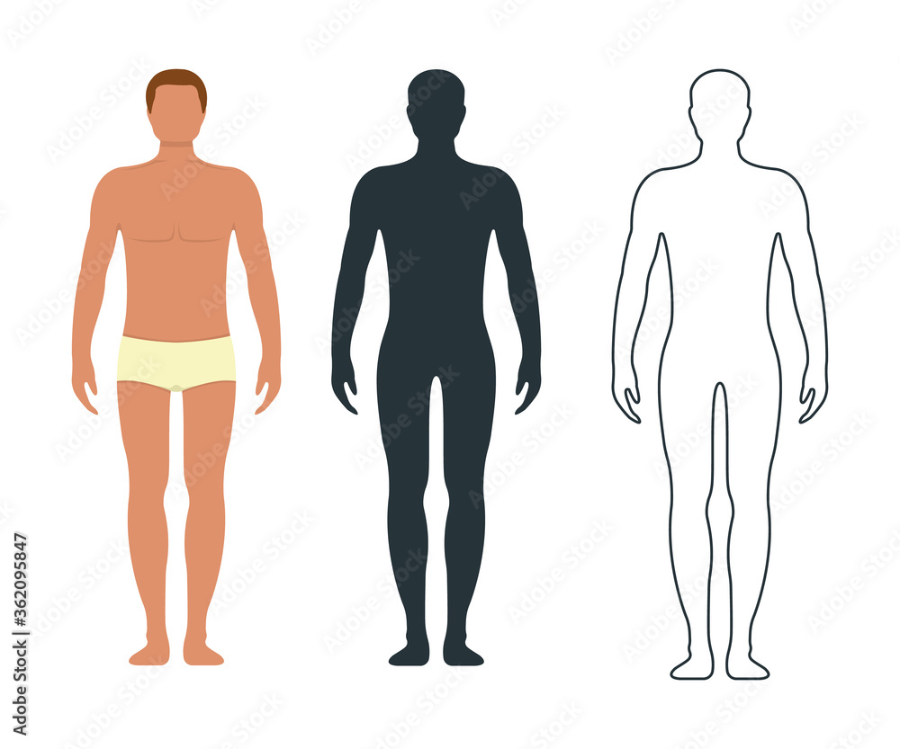 Male and female anatomy human character, people dummy front and view side body silhouette, isolated on white, flat vector illustration. Male and female anatomy human character, people dummy front and view side body silhouette, isolated on white, flat vector illustration.