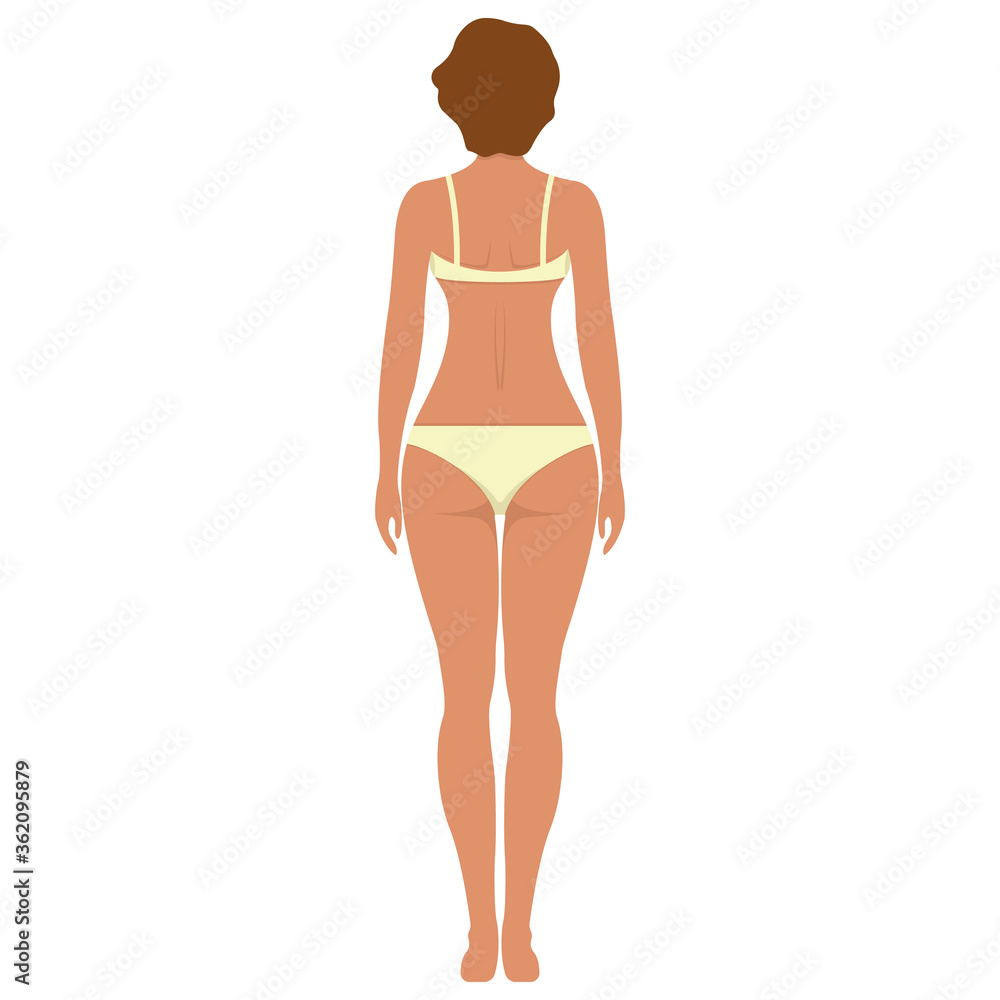Female anatomy human character, woman people dummy front and view side body silhouette, isolated on white, flat vector illustration. Female anatomy human character, woman people dummy front and view side body silhouette, isolated on white, flat vector illustration.