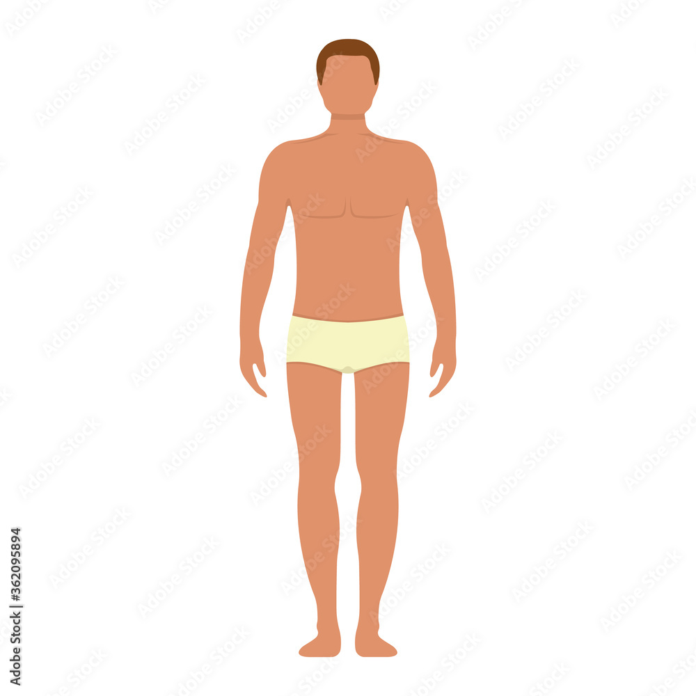 Male anatomy human character, man people dummy front and view side body silhouette, isolated on white, flat vector illustration. Male anatomy human character, man people dummy front and view side body silhouette, isolated on white, flat vector illustration.