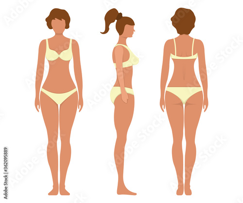 Female anatomy human character, woman people dummy front and view side body silhouette, isolated on white, flat vector illustration.