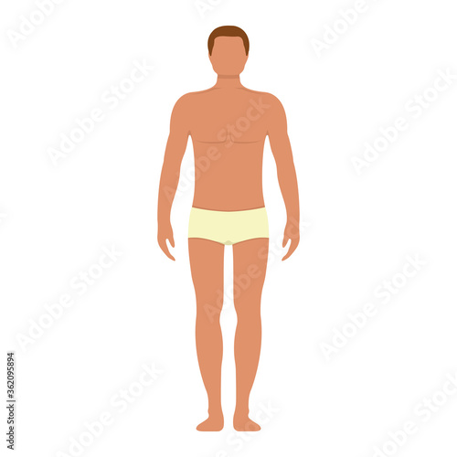 Male anatomy human character, man people dummy front and view side body silhouette, isolated on white, flat vector illustration.