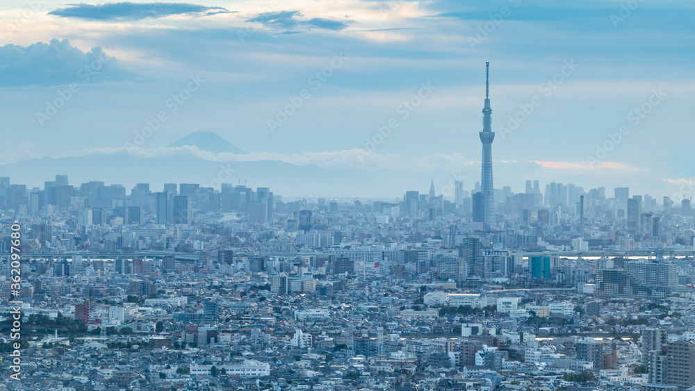 青空を背景に千葉県から見た東京方面のビル群と富士山 Foto De Stock Adobe Stock