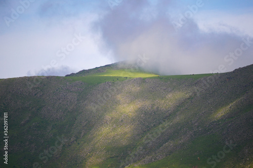 Cima de cerro Pelao photo