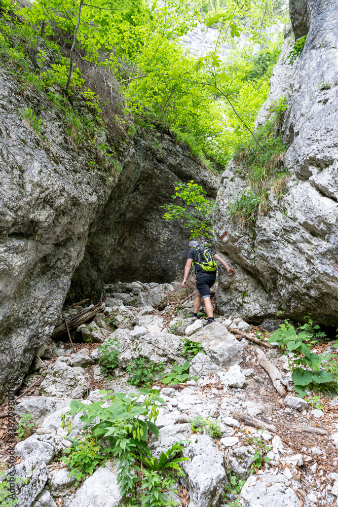 Male Person on Hike Via Ferrata at the Weichtalklamm in Lower Austria