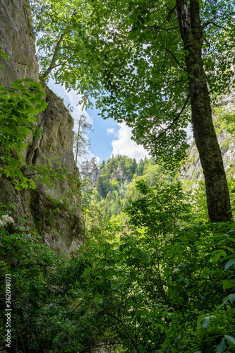 Hiking Path Via Ferrata at the Weichtalklamm in Lower Austria