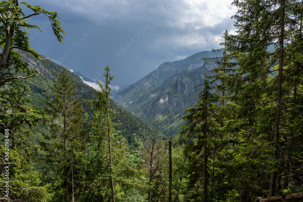 Hiking Path Via Ferrata at the Weichtalklamm in Lower Austria