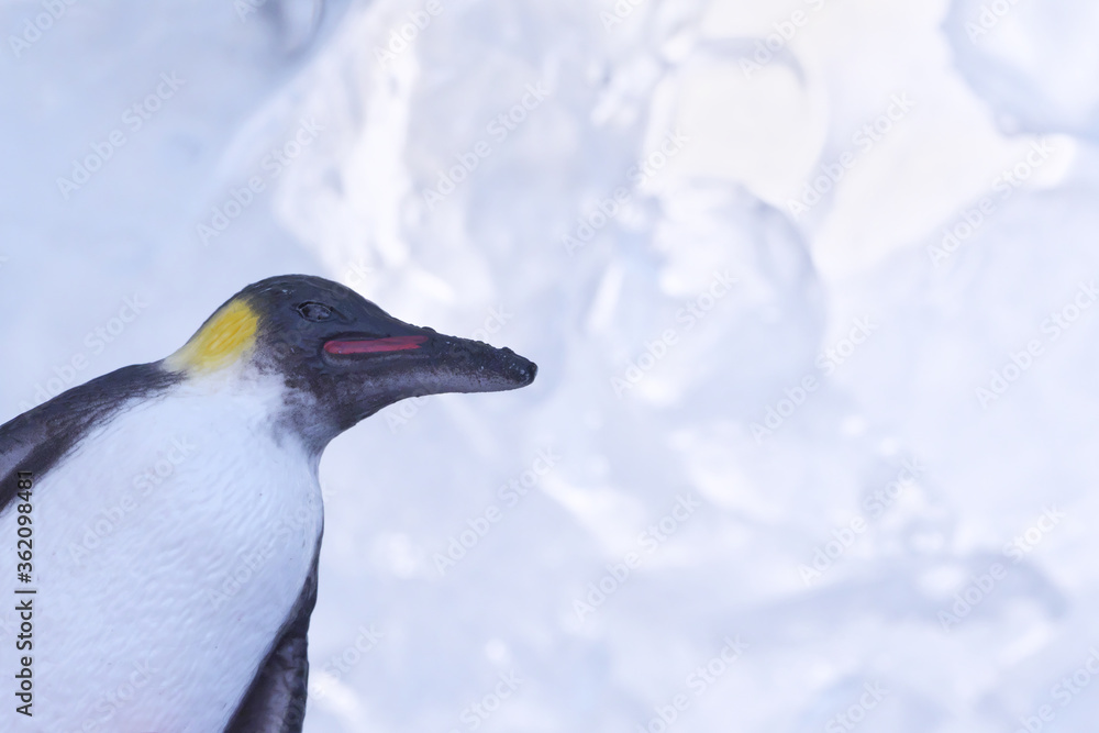 Fototapeta premium 氷とペンギン