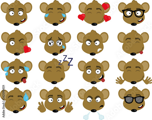 Vector illustration of expressions of a mouse's face cartoon