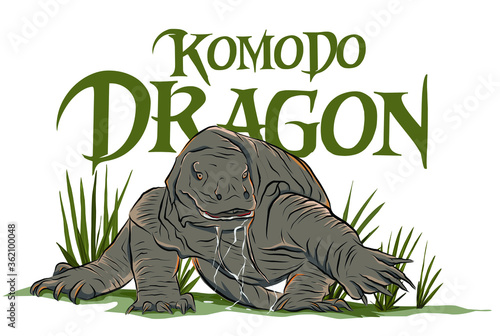 Komodo Dragon, The large monitor lizard species found on Komodo Island, Indoensia photo