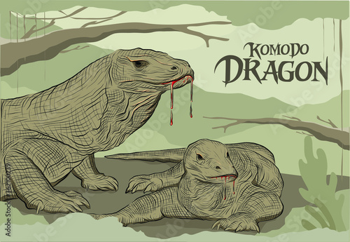 Komodo Dragon, The large monitor lizard species found on Komodo Island, Indoensia photo