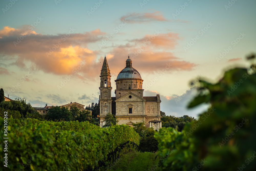 Montepulciano Catedral and vineyard