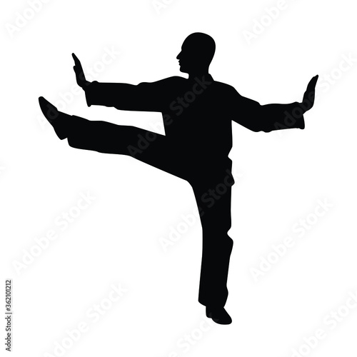 Tai Chi Chuan man silhouette vector