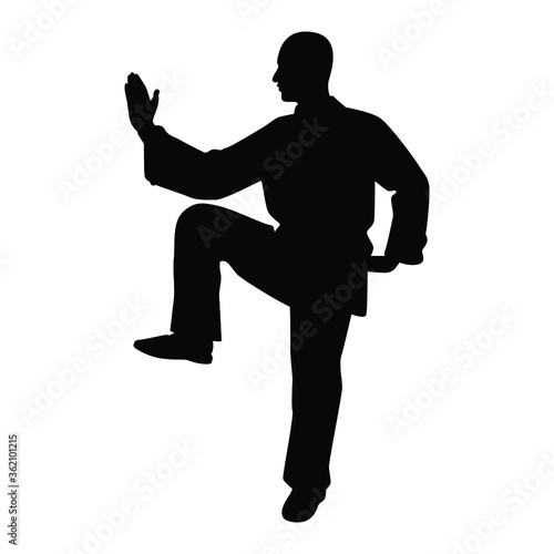 Tai Chi Chuan man silhouette vector