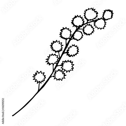 Sketch branch of leaves by hand on an isolated background. Hand drawn branches with leaves and flowers isolated on a white background.