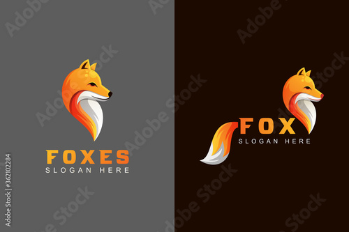 animal fox or foxes logo design two version vector template