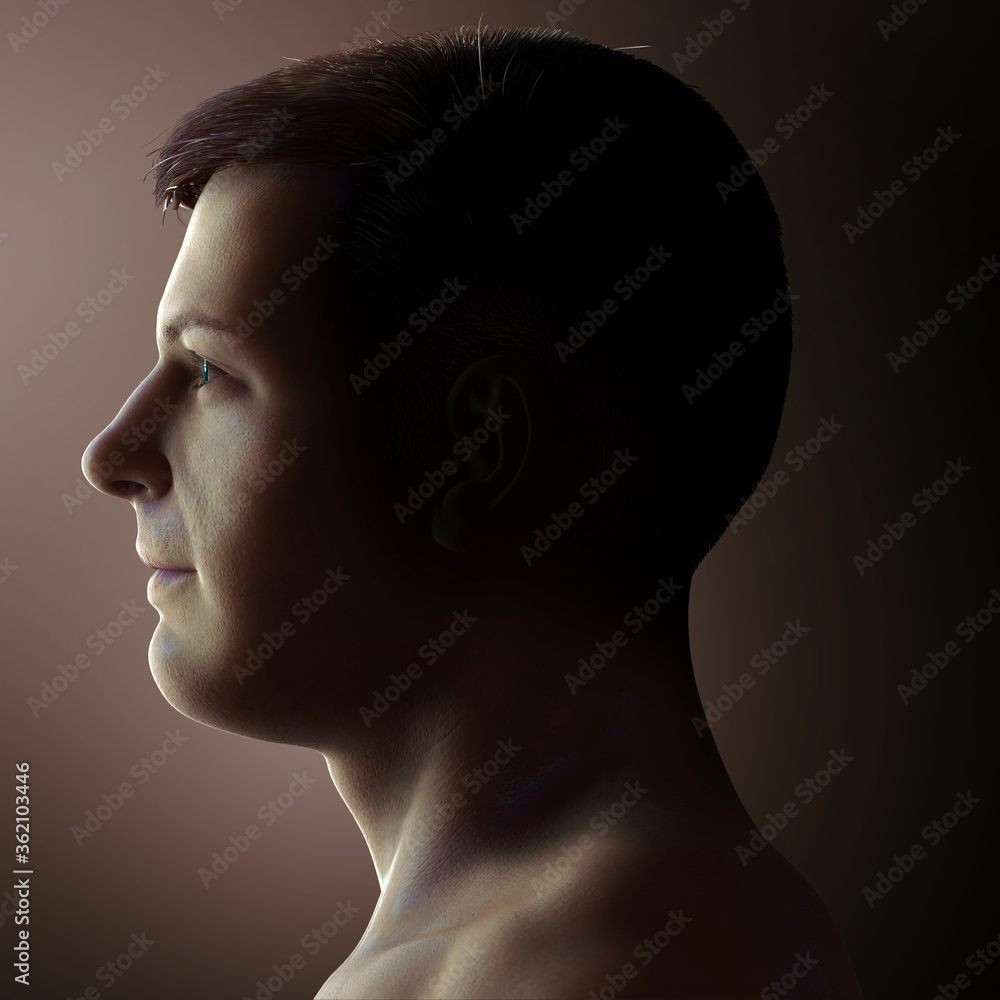 3d rendered medically accurate illustration of a male head anatomy