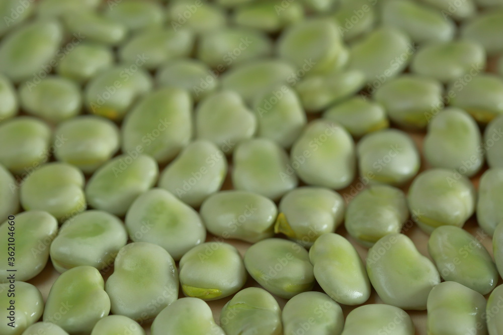 Fresh broad bean close up
