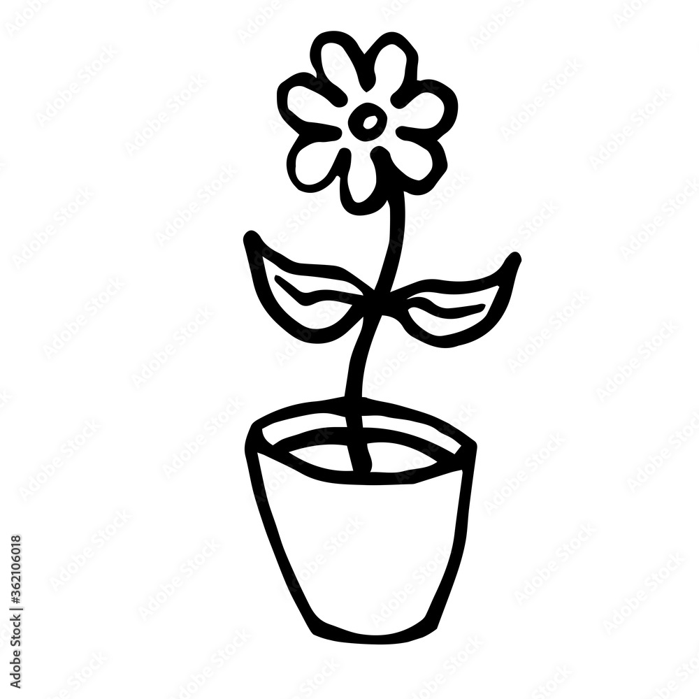 hand-drawn indoor flower with leaves hand-drawn indoor flower with leaves