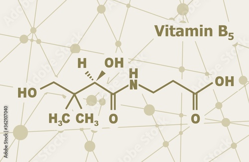 Wallpaper Mural Pantothenic acid or vitamin B5 structural chemical formula. Connected lines with dots background. Torontodigital.ca