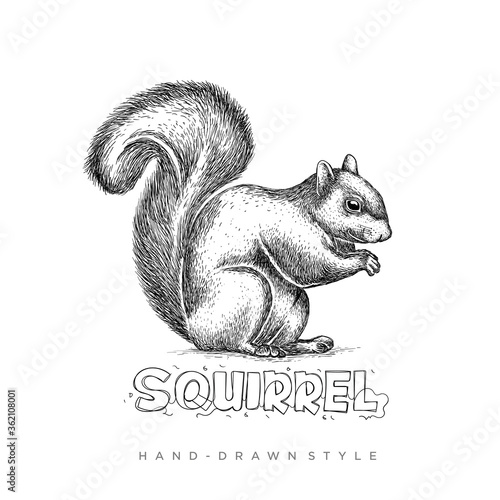 Vector squirrel with hand drawn style, illustration of black and white animal