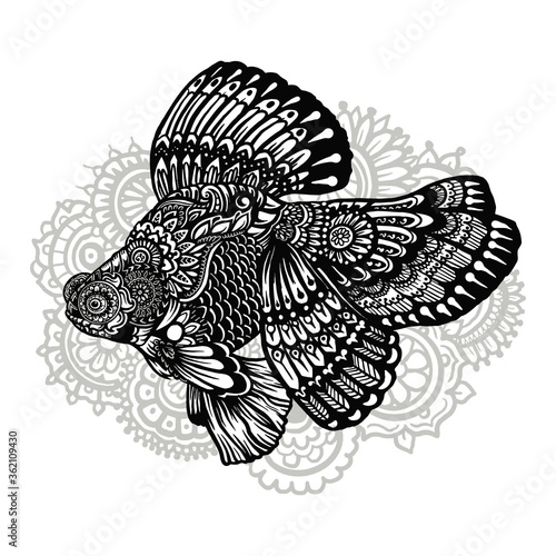 golden fish koi zentangle isolated on white background