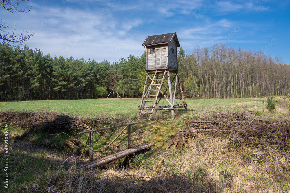 Wooden deer stand looks like elevated tiny house with ladder situated on small glade in the middle of forest, blue sky and sunny Wooden deer stand looks like elevated tiny house with ladder situated on small glade in the middle of forest, blue sky and sunny