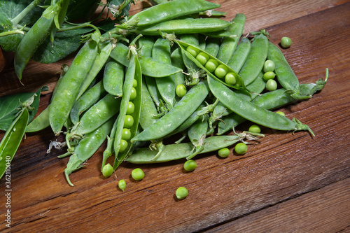 a branch of green peas with pods on a wooden table close-up, harvest from the garden