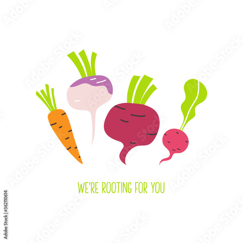 Colorful root vegetables hand drawn poster illustration with text isolated on white background. We're rooting for you.