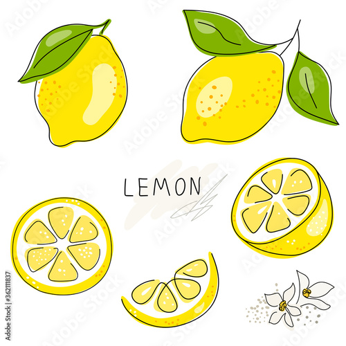 Whole lemon cut in half, slice, clipping path isolated on a white background. Set.