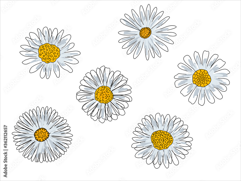 Daisies solid line drawing. Seamless texture. Abstract minimal daisy.  Doodle in black and white. Vector Stock Vector