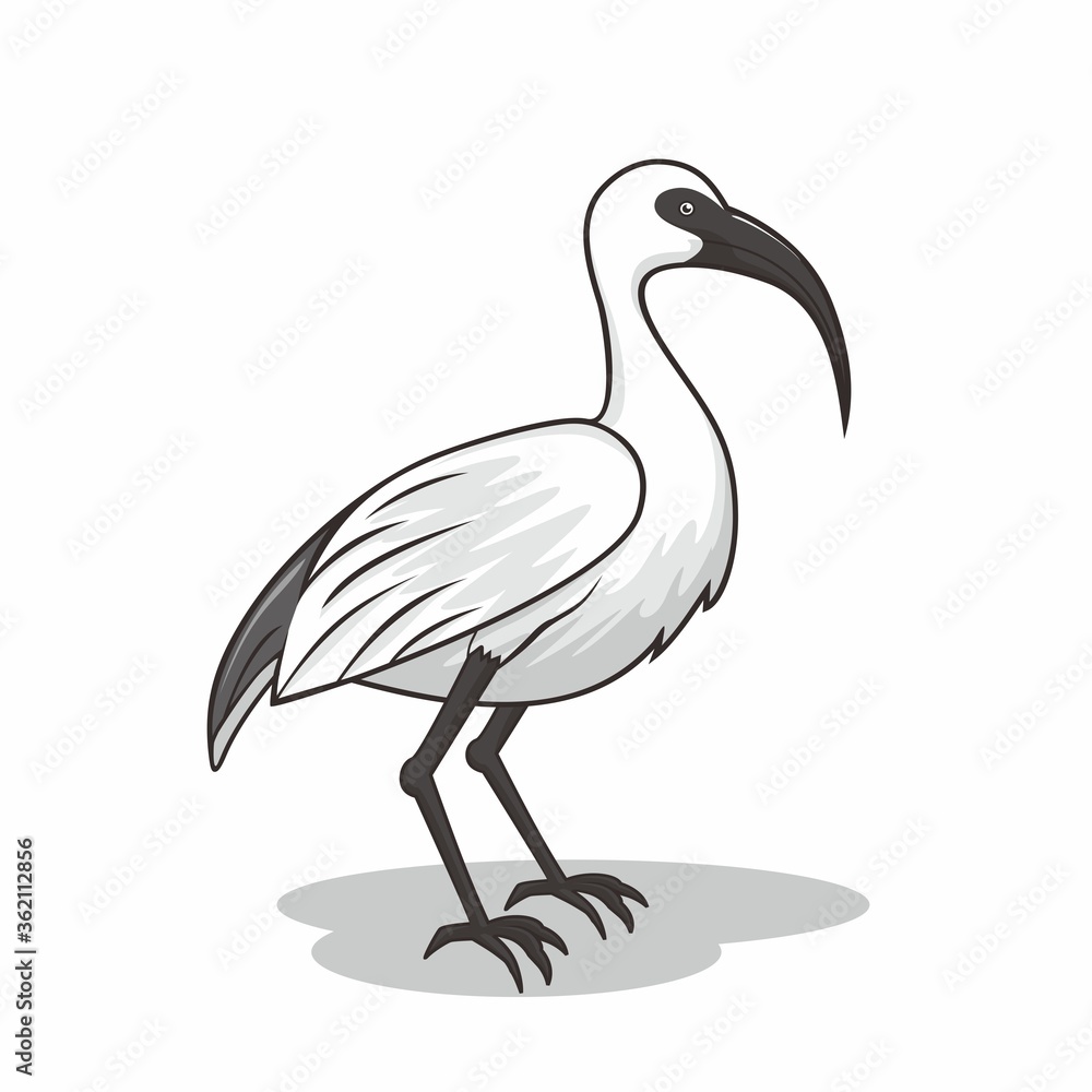 Obraz premium Biały ptak Ibis kreskówka