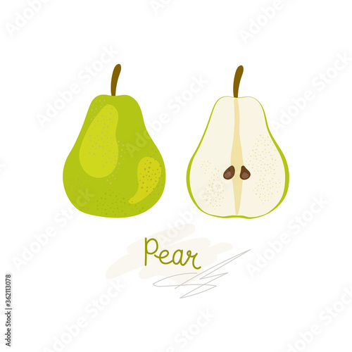 Fresh, green whole and halved pear, leaves, fruits on a white background. Doodle