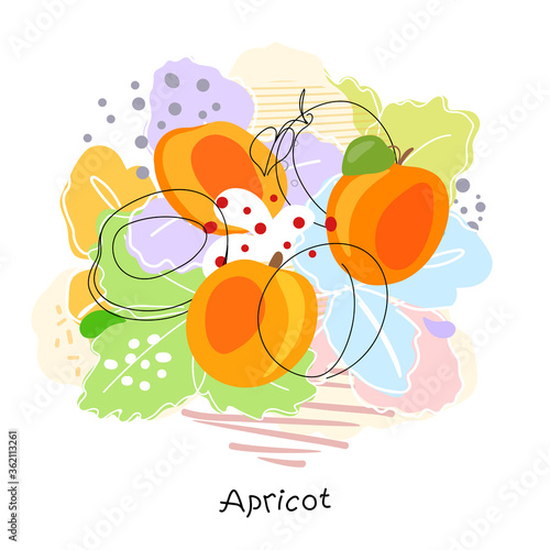 Fresh, bright whole and halved apricots, leaves, fruits on an abstract background. Doodle