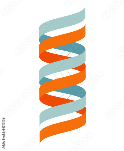 dna strand vector