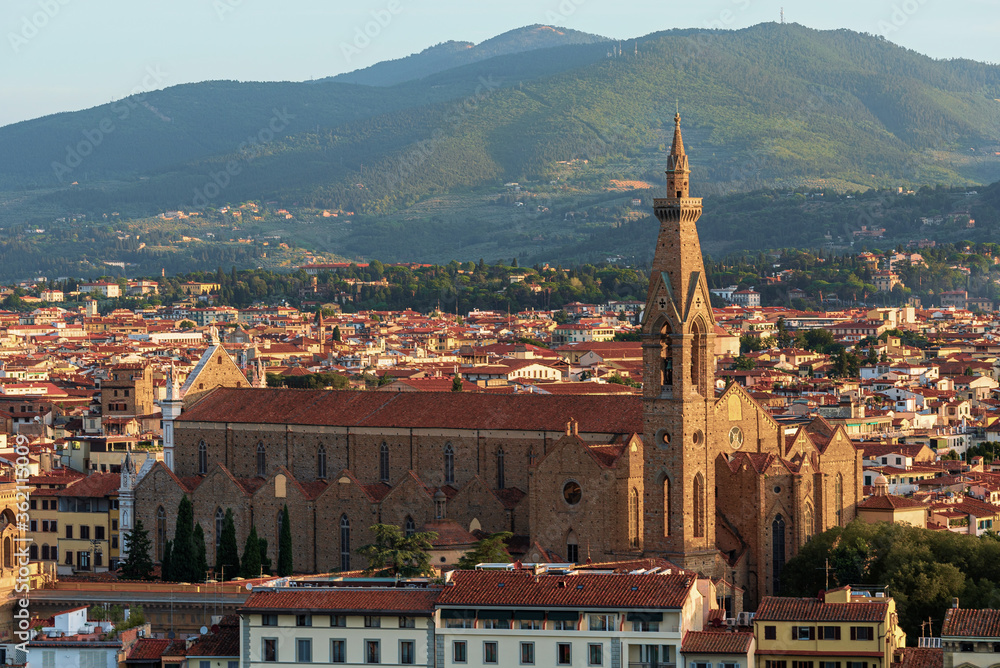 Beautiful Florence cityscape with Santa Croce gothic church, Firenze, Italy.