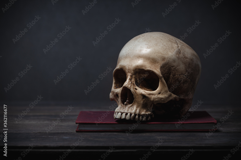 Still life of human skull that died for a long times ,concept of horror or thriller movies of scary crime scene ,Halloween theme, visual art Still life of human skull that died for a long times ,concept of horror or thriller movies of scary crime scene ,Halloween theme, visual art