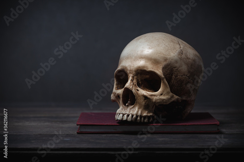 Still life of human skull that died for a long times ,concept of horror or thriller movies of scary crime scene ,Halloween theme, visual art