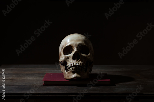 Still life of human skull that died for a long times ,concept of horror or thriller movies of scary crime scene ,Halloween theme, visual art
