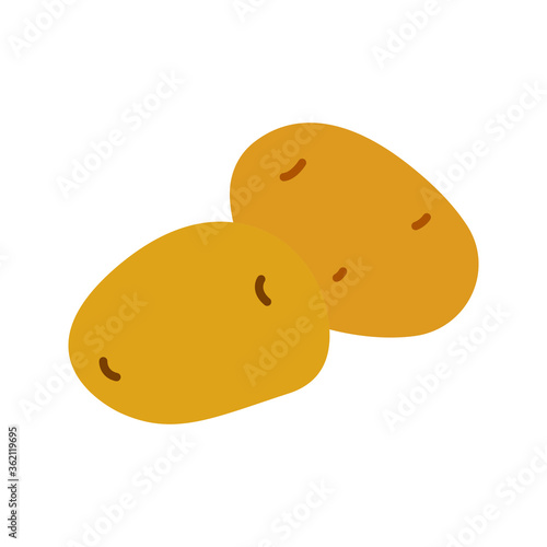 Realistic vector illustration of fresh whole potatoes isolated on white background, ideal for food packaging design, farming promotions, organic product visuals, and healthy eating concepts.