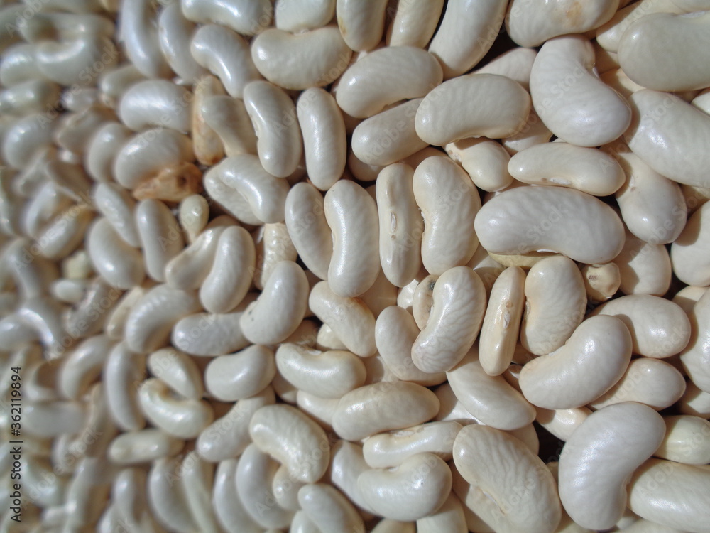 Long Bean Seeds With A Natural Background The Seeds Are On Drying   1000 F 362119894 RUgPdCK6KLPFUtBGbndn1SEX0usojouR 