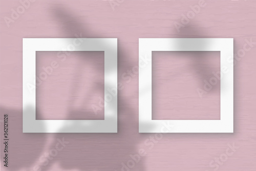 Two square sheet of white textured paper on the pink wall background. Mockup with an overlay of plant shadows. Natural light casts shadows from the leaves of an exotic plant. Flat lay, top view