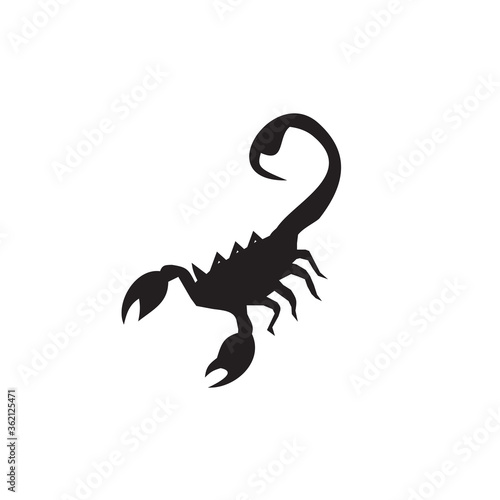 Scorpion logo design vector template photo