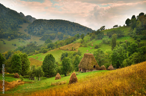 Wallpaper Mural Romanian hovel with thatch and straw bundles near, in beautiful wild country. Romanian rurality with typical building with straw roof. Torontodigital.ca
