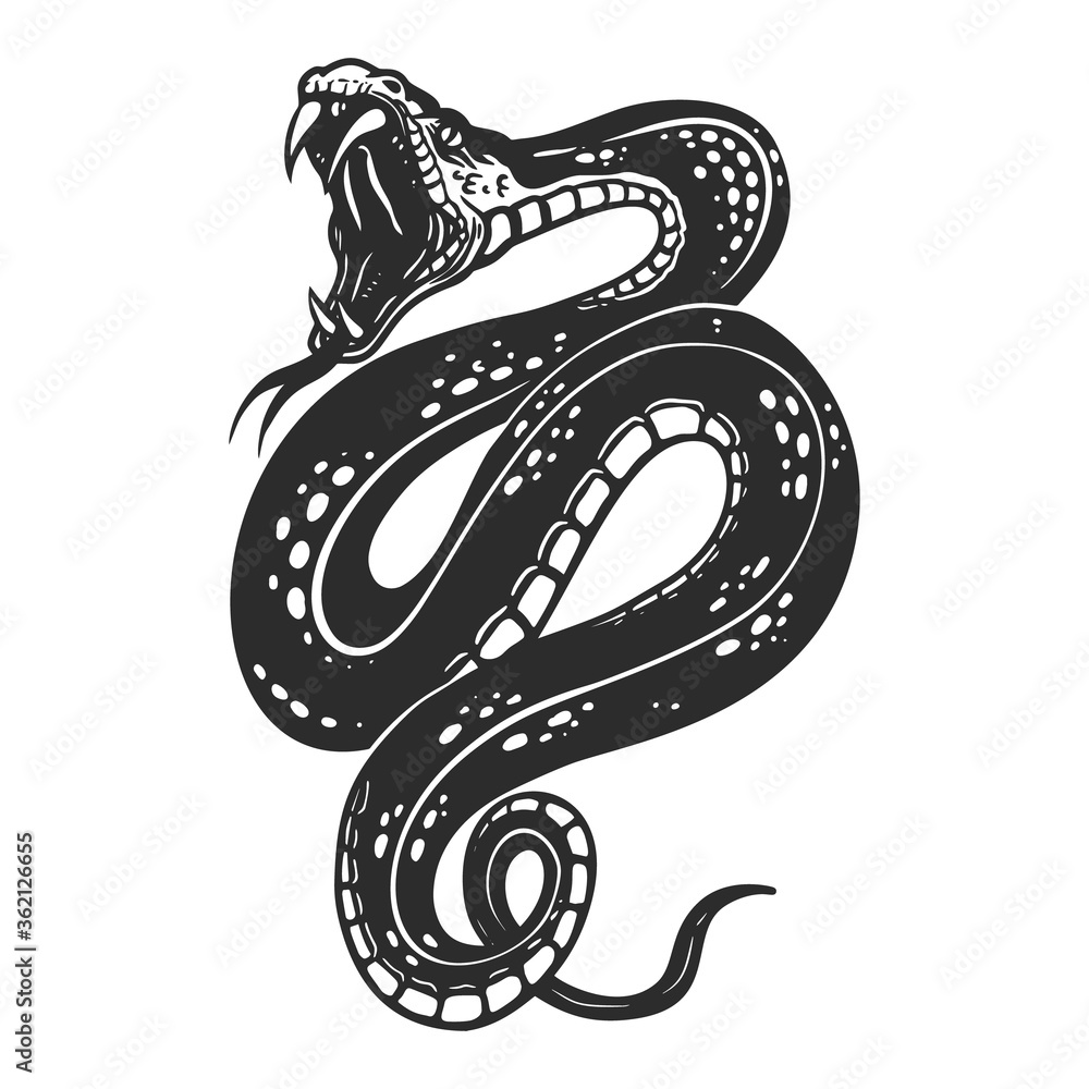Obraz premium Illustration of poisonous snake in engraving style. Design element for logo, label, emblem, sign, badge.