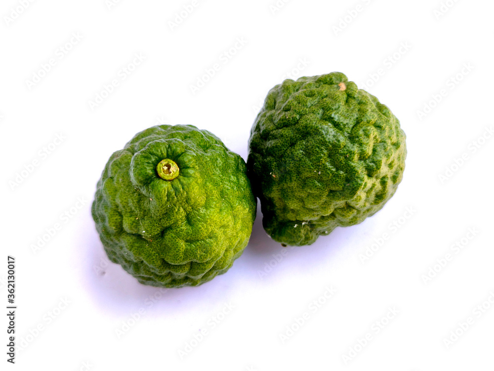 Kaffir Lime or Citrus hystrix on white background Kaffir Lime or Citrus hystrix on white background