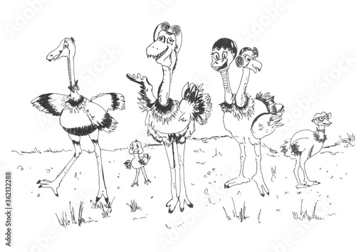 Ostrich family cartoon © Sreedha R