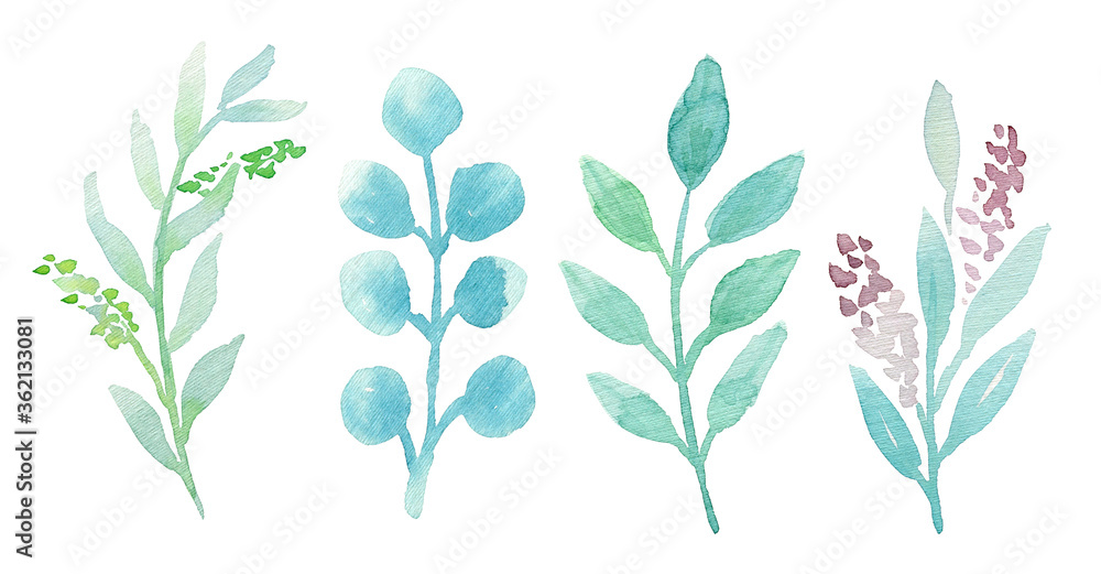 Hand drawn set of 4 mint branches and leaves. Watercolor illustrations. Eucalyptus. Floral spring greenery design elements. Perfect for wedding invitations, cards, invitations, banners, posters. Hand drawn set of 4 mint branches and leaves. Watercolor illustrations. Eucalyptus. Floral spring greenery design elements. Perfect for wedding invitations, cards, invitations, banners, posters.