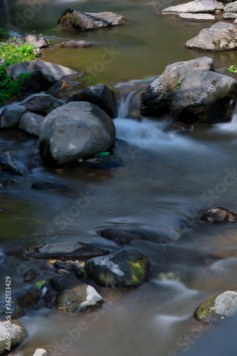 stream in the forest